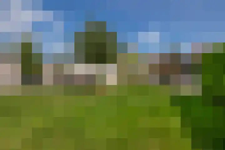 Dopheide 15 Meijel thumbnail 51