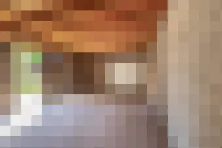 Dopheide 15 Meijel thumbnail 58