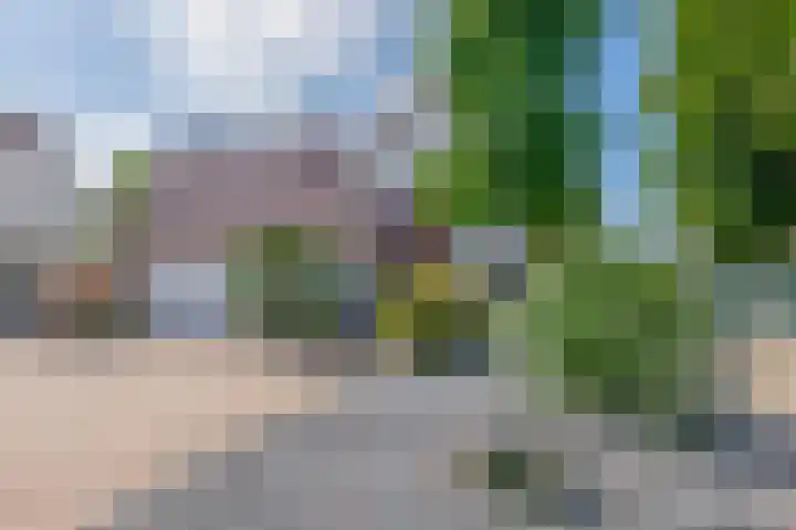 Dopheide 15 Meijel thumbnail 6