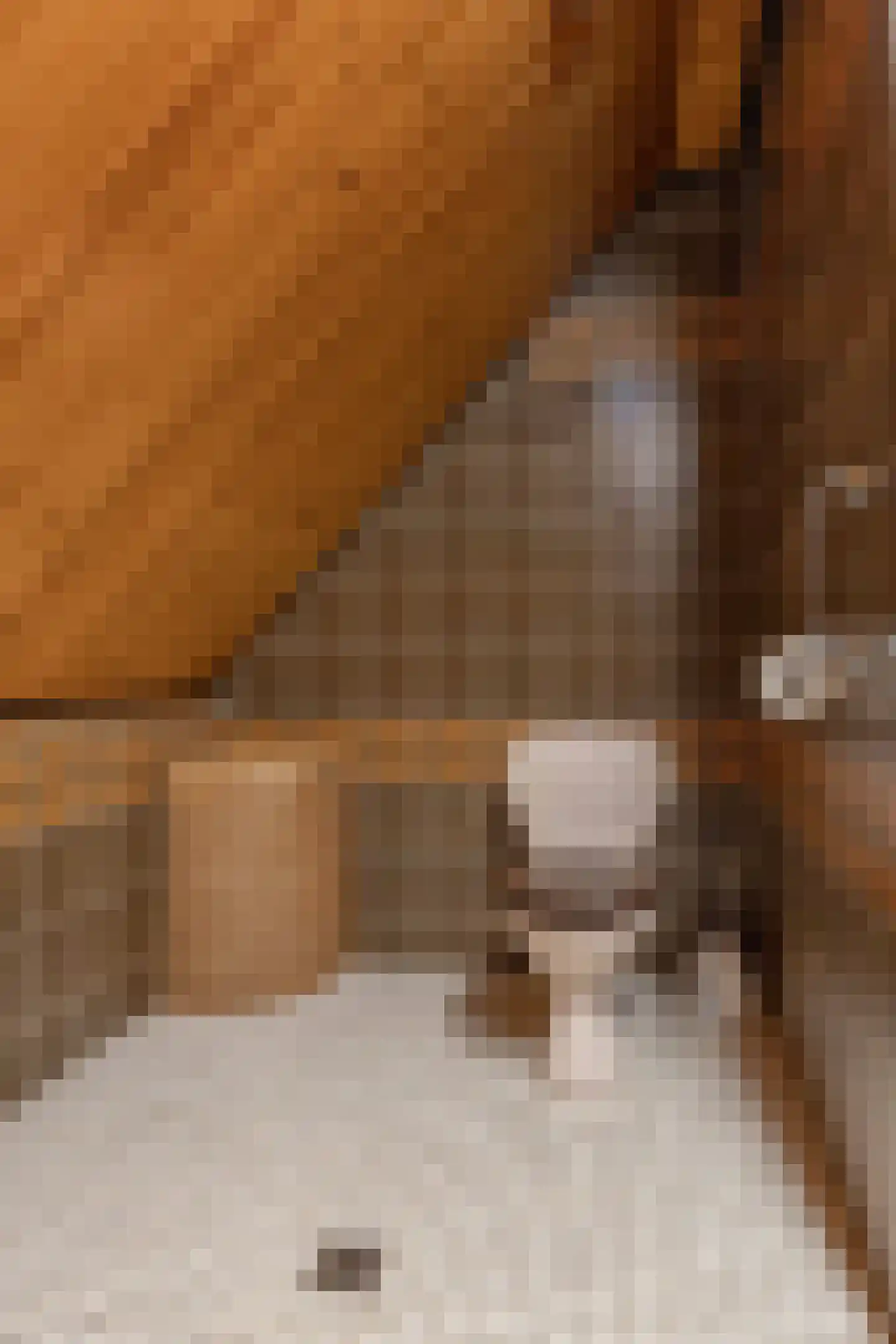 Dopheide 15 Meijel thumbnail 60