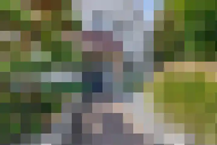 Dopheide 15 Meijel thumbnail 7