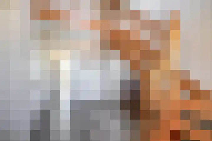 Dopheide 15 Meijel thumbnail 8