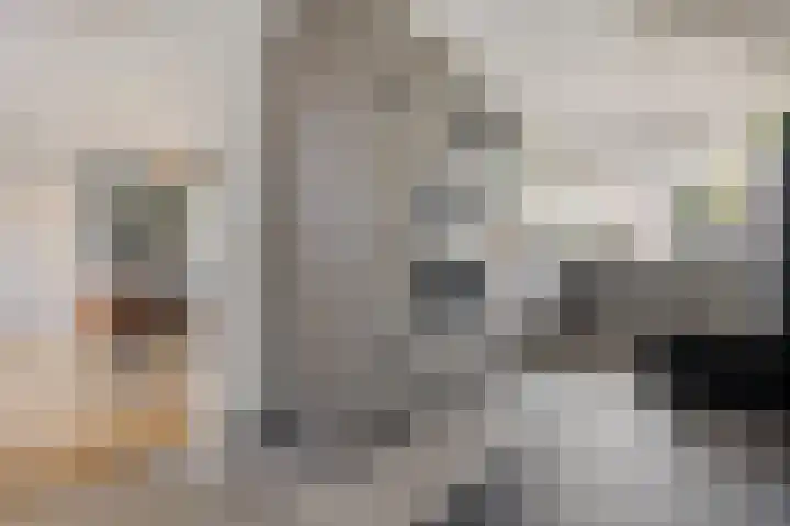 Dopheide 16 Odoorn thumbnail 17