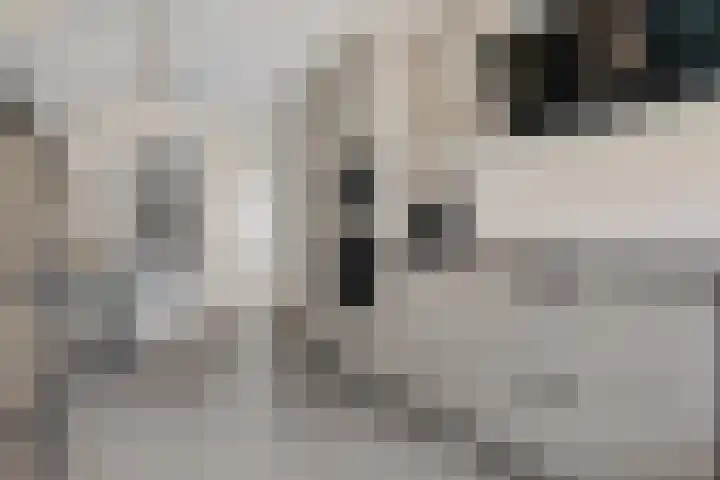 Dopheide 16 Odoorn thumbnail 19
