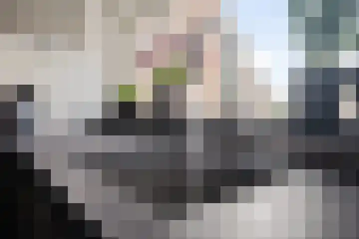 Dopheide 16 Odoorn thumbnail 20