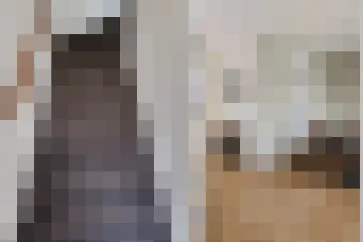 Dopheide 16 Odoorn thumbnail 23