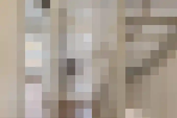 Dopheide 16 Odoorn thumbnail 24