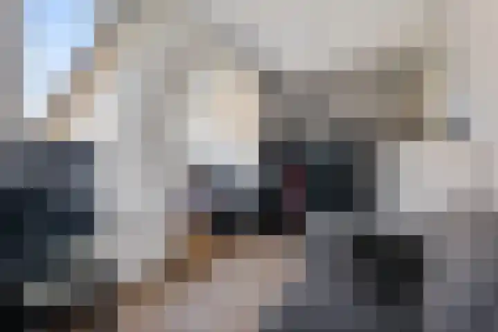 Dopheide 16 Odoorn thumbnail 27