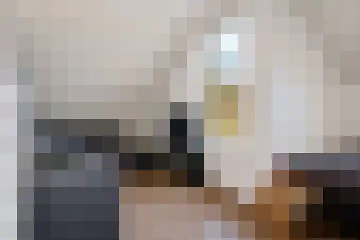 Dopheide 16 Odoorn thumbnail 28