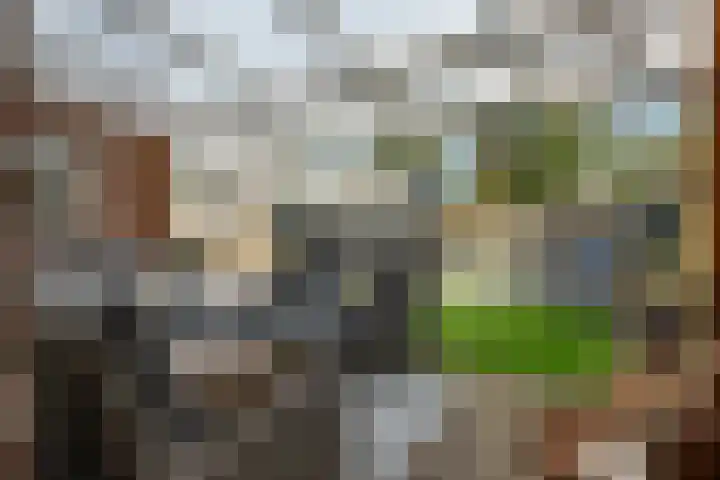 Dopheide 16 Odoorn thumbnail 36