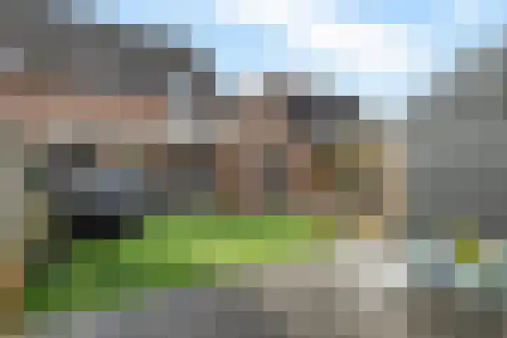 Dopheide 16 Odoorn thumbnail 38