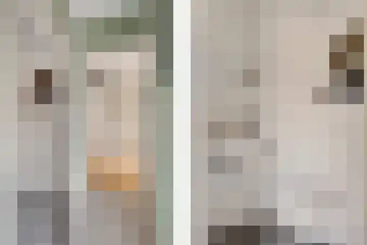 Dopheide 16 Odoorn thumbnail 4