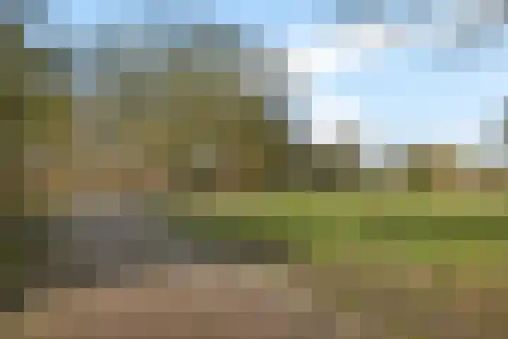 Dopheide 16 Odoorn thumbnail 42