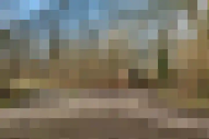Dopheide 16 Odoorn thumbnail 44