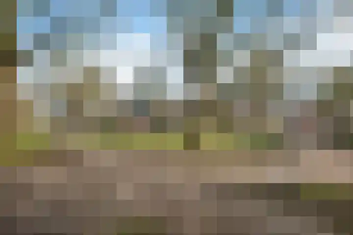 Dopheide 16 Odoorn thumbnail 45