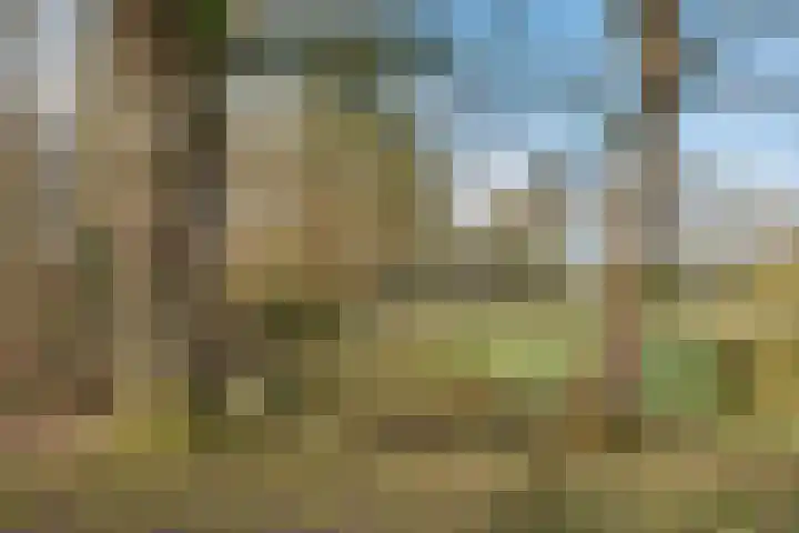 Dopheide 16 Odoorn thumbnail 46