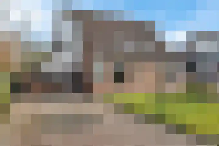 Dopheide 16 Odoorn thumbnail 48