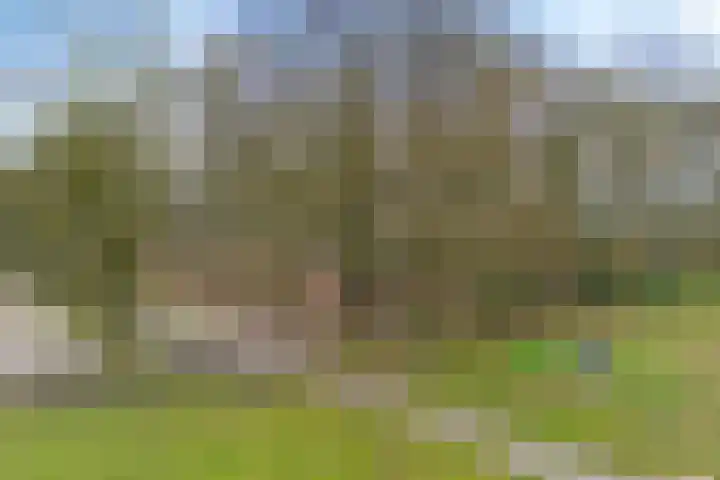 Dopheide 16 Odoorn thumbnail 50