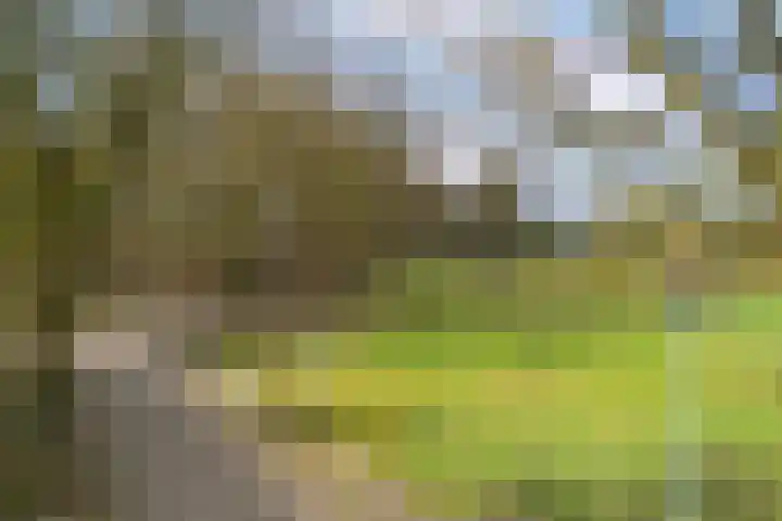 Dopheide 16 Odoorn thumbnail 52