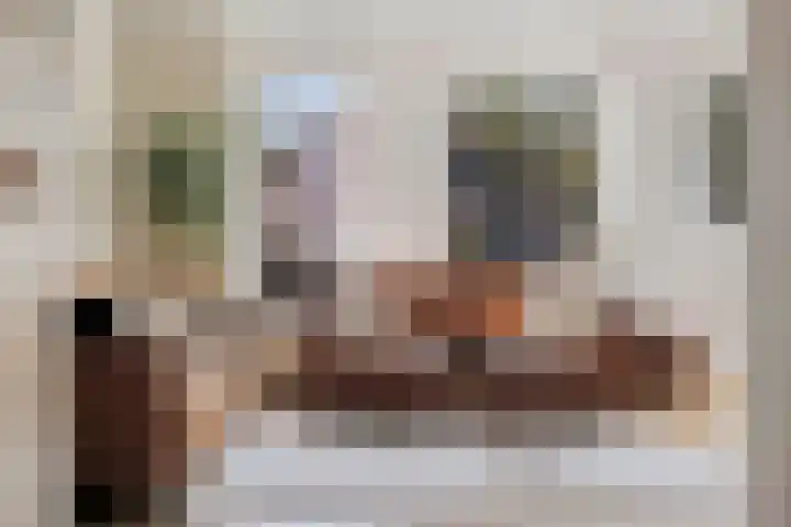 Dopheide 16 Odoorn thumbnail 6