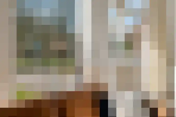 Dopheide 16 Odoorn thumbnail 8