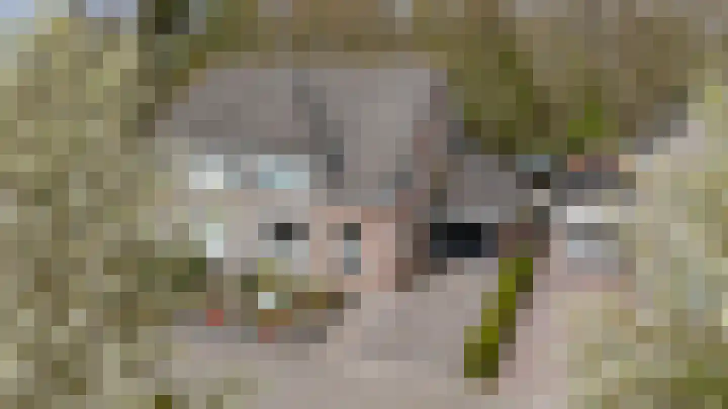 Dopheide 20 Sleen