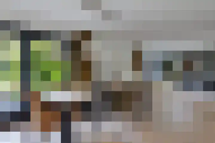 Dopheide 23 Heerenveen thumbnail 13