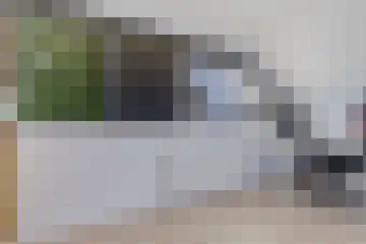 Dopheide 23 Heerenveen thumbnail 28