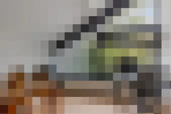 Dopheide 23 Heerenveen thumbnail 37