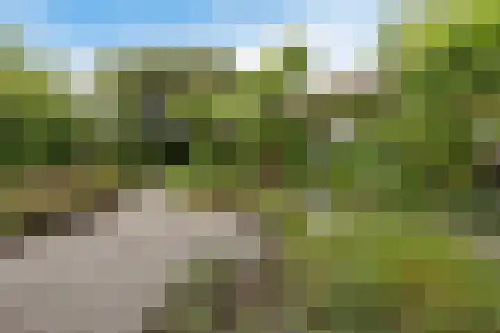Dopheide 23 Heerenveen thumbnail 41