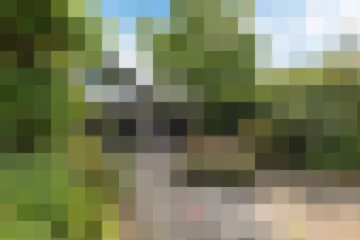 Dopheide 23 Heerenveen thumbnail 42