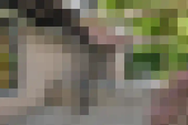 Dopheide 23 Heerenveen thumbnail 45