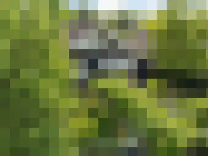 Dopheide 23 Heerenveen thumbnail 50