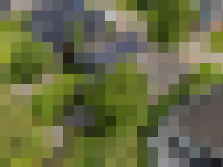 Dopheide 23 Heerenveen thumbnail 53
