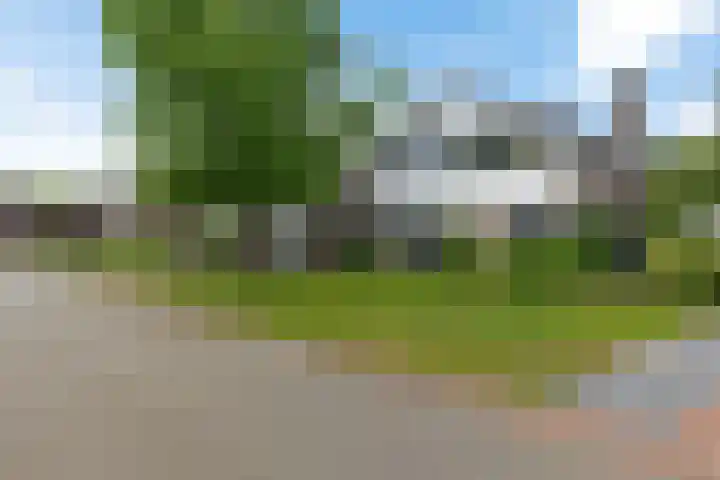 Dopheide 23 Heerenveen thumbnail 7