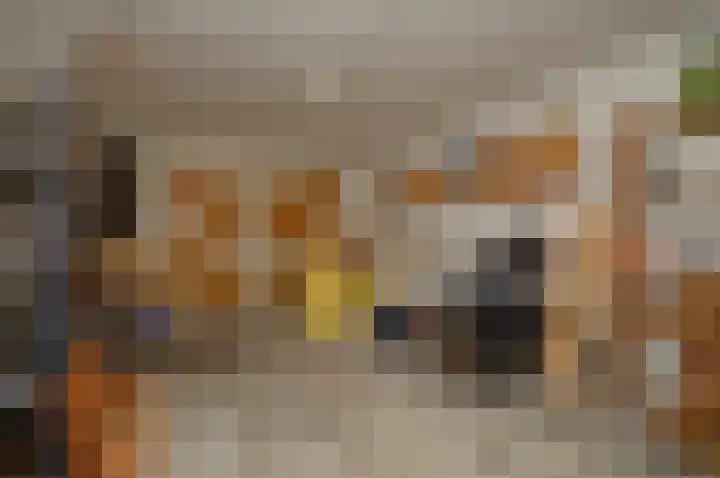 Dopheide 35 Deurne thumbnail 13