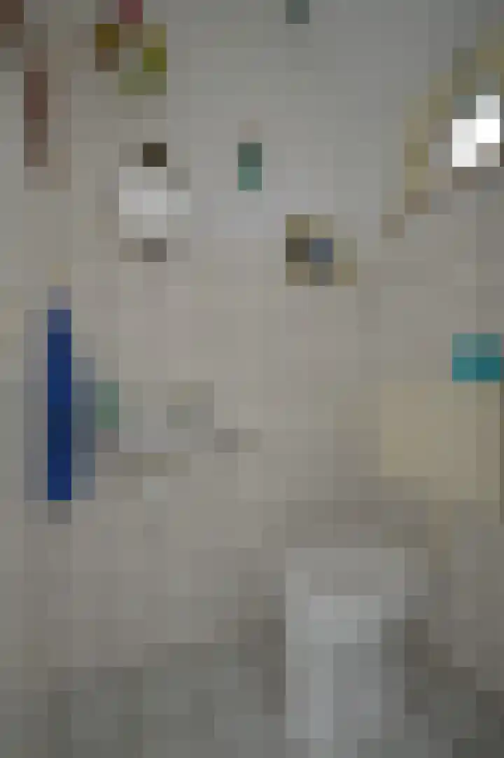 Dopheide 35 Deurne thumbnail 15