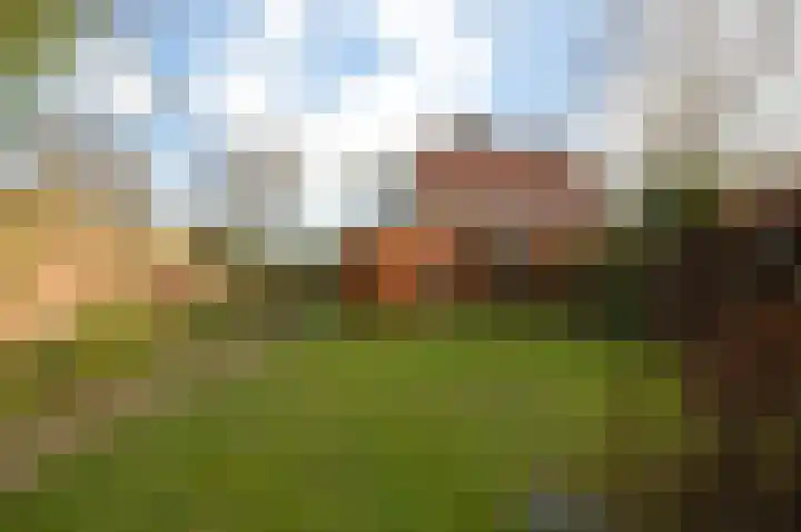 Dopheide 35 Deurne foto 2