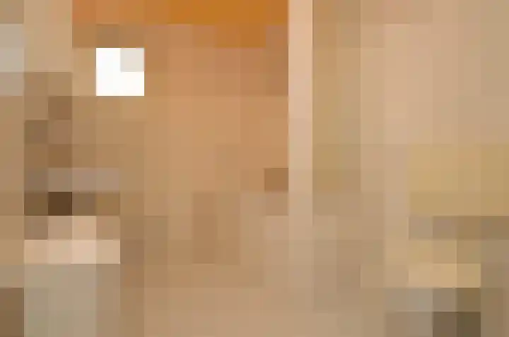 Dopheide 35 Deurne thumbnail 21