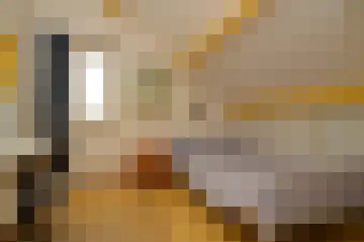 Dopheide 35 Deurne thumbnail 24