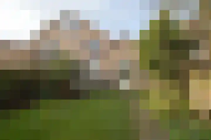 Dopheide 35 Deurne thumbnail 25