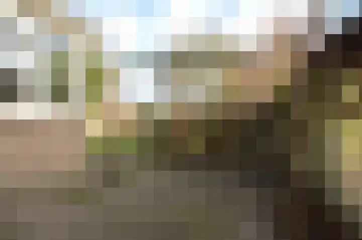 Dopheide 35 Deurne thumbnail 26