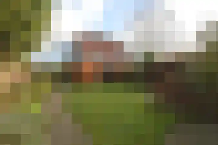 Dopheide 35 Deurne thumbnail 27