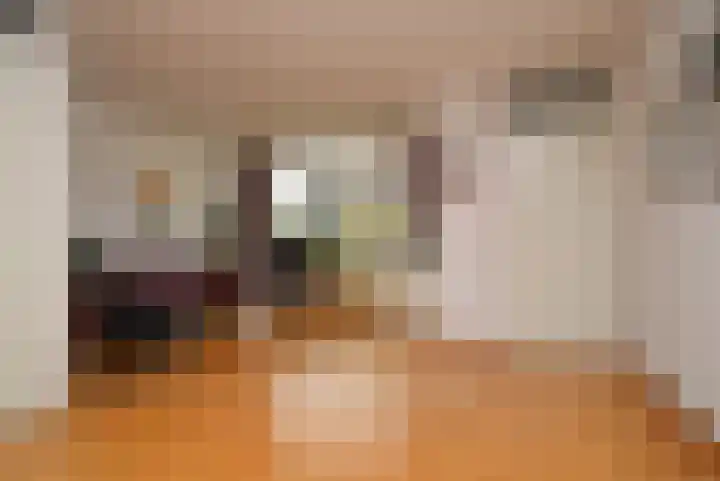 Dopheide 35 Deurne foto 3