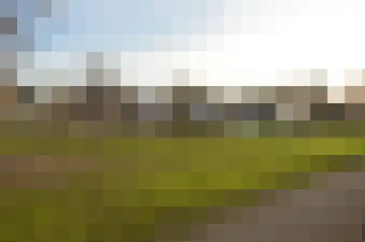 Dopheide 35 Deurne thumbnail 31