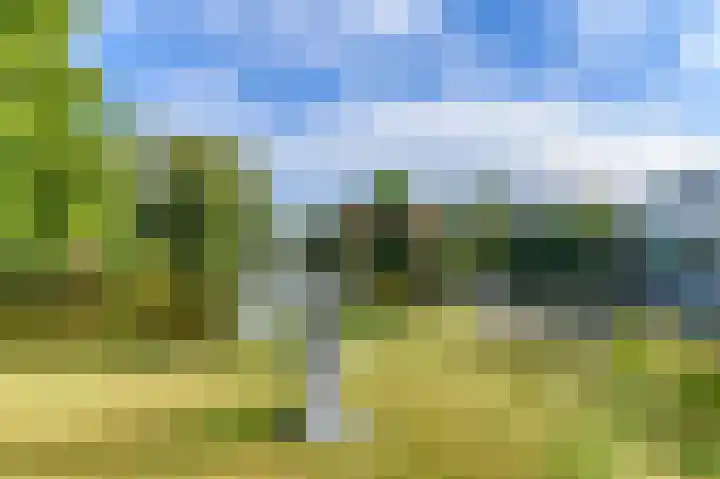 Dopheide 36 Heerenveen thumbnail 20