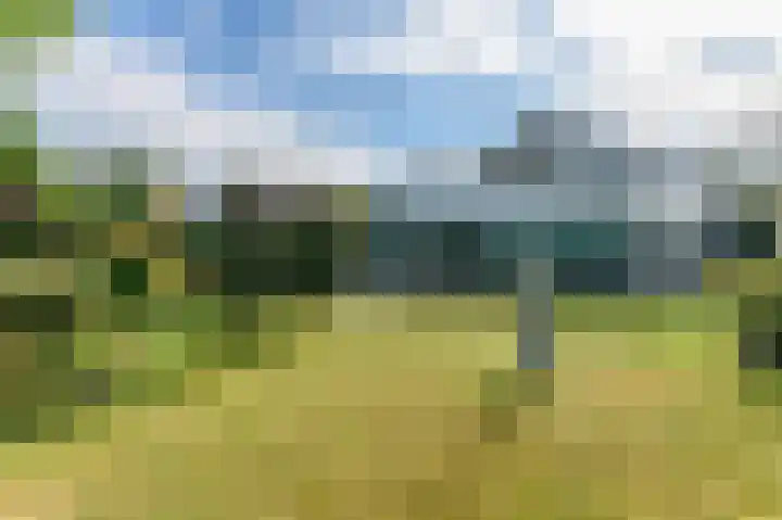 Dopheide 36 Heerenveen thumbnail 23