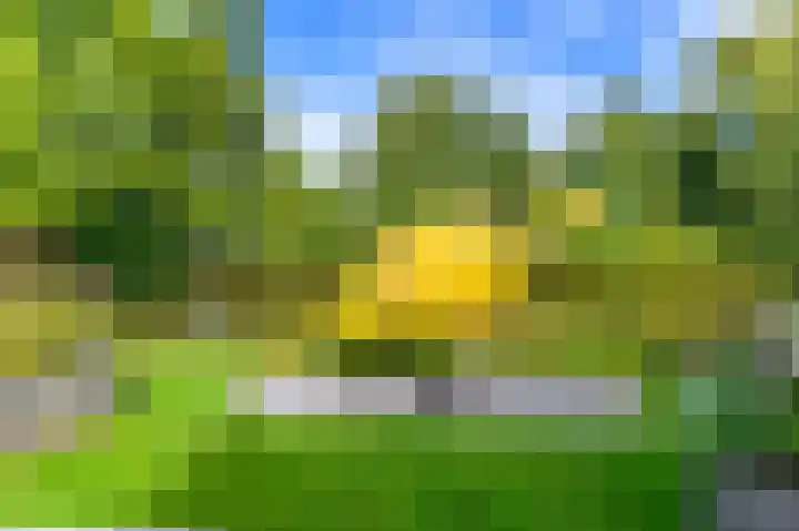 Dopheide 36 Heerenveen thumbnail 26