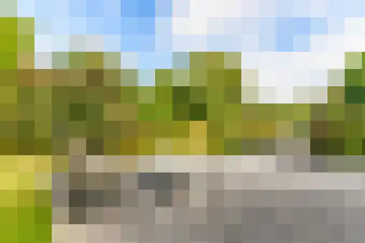 Dopheide 36 Heerenveen thumbnail 29