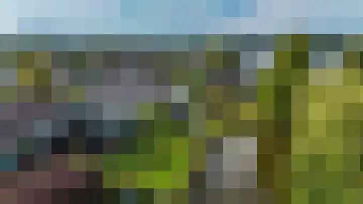 Dopheide 36 Heerenveen thumbnail 33